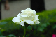 image0324