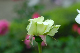 image0325