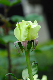 image0326