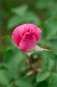 image0327