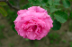 image0328