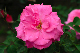 image0329