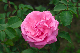 image0330