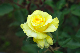 image0331