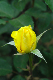 image0332