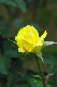 image0333