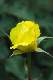 image0334