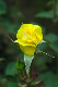image0336