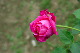 image0338