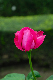 image0340