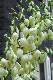 image0342