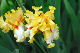 image0344