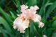 image0348