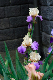 image0351