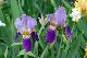 image0354