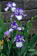 image0356