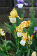 image0357