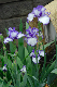 image0358