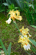 image0359