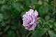 image0360