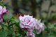 image0361