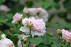 image0363