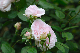 image0364