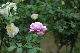 image0365