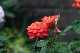 image0371