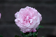 image0374