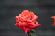 image0376