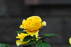 image0377