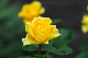 image0378