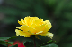 image0379
