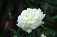 image0381
