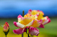 image0384