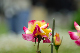 image0385