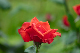 image0387