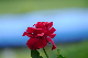 image0388