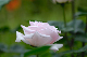 image0391