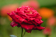 image0392