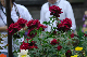 image0398