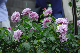 image0399
