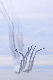 image0136