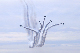 image0137