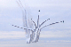 image0138