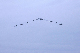 image0193