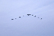 image0194