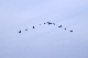 image0195