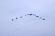 image0196